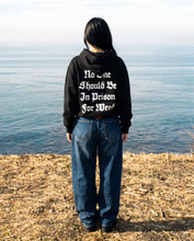 Load image into Gallery viewer, NOSBIPFW Hoodie
